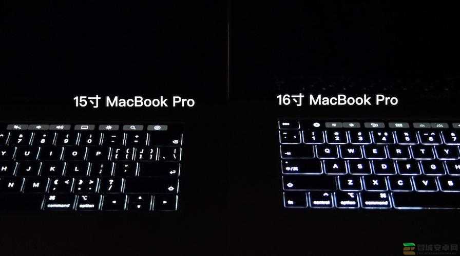 16 岁日本学生 MacBook Pro 评测网传画质超安卓版本解析